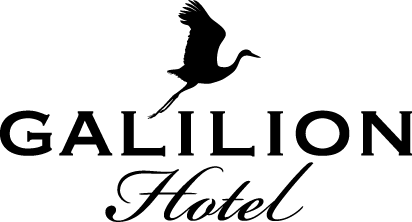לוגו גליליון