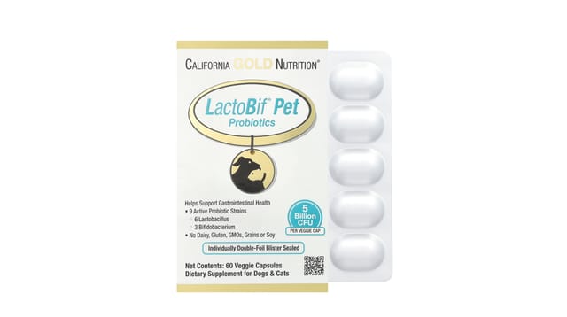 iHerb - אריזת פרוביוטיקה LactoBif Pet של California Gold Nutrition, בגוון זהב-לבן, עם כמוסות בבליסטר