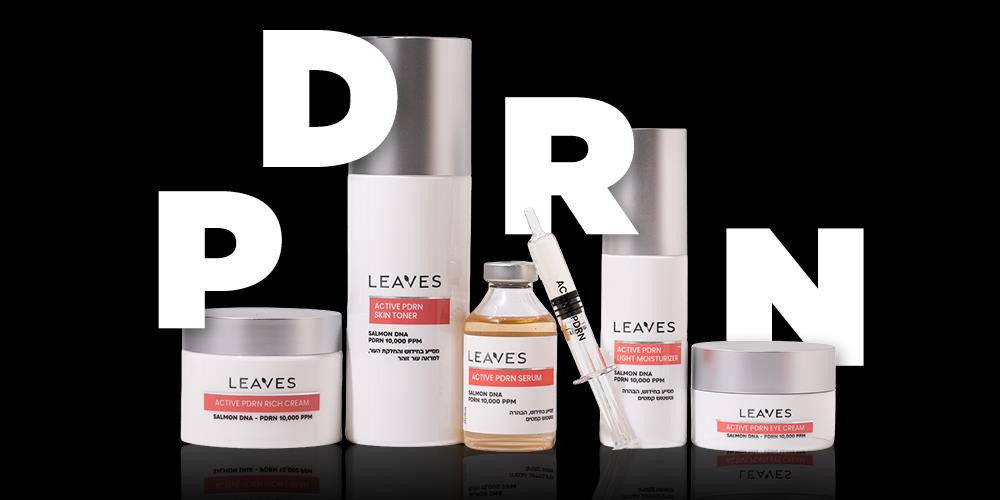 מוצרי קיי קאר