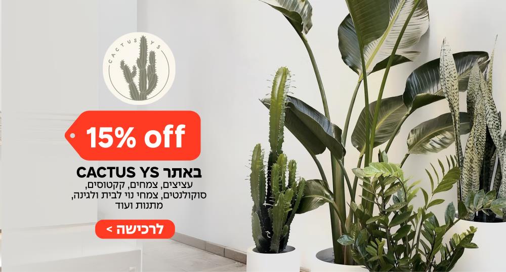 קקטוס